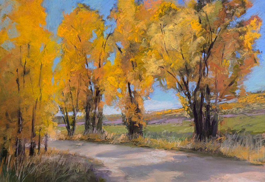 Autumn Colors in Steamboat Springs, Colorado