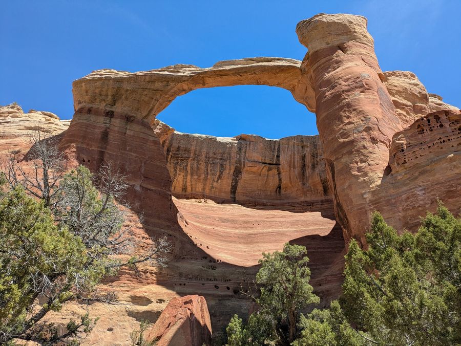 Rattlesnake Arches, western Colorado